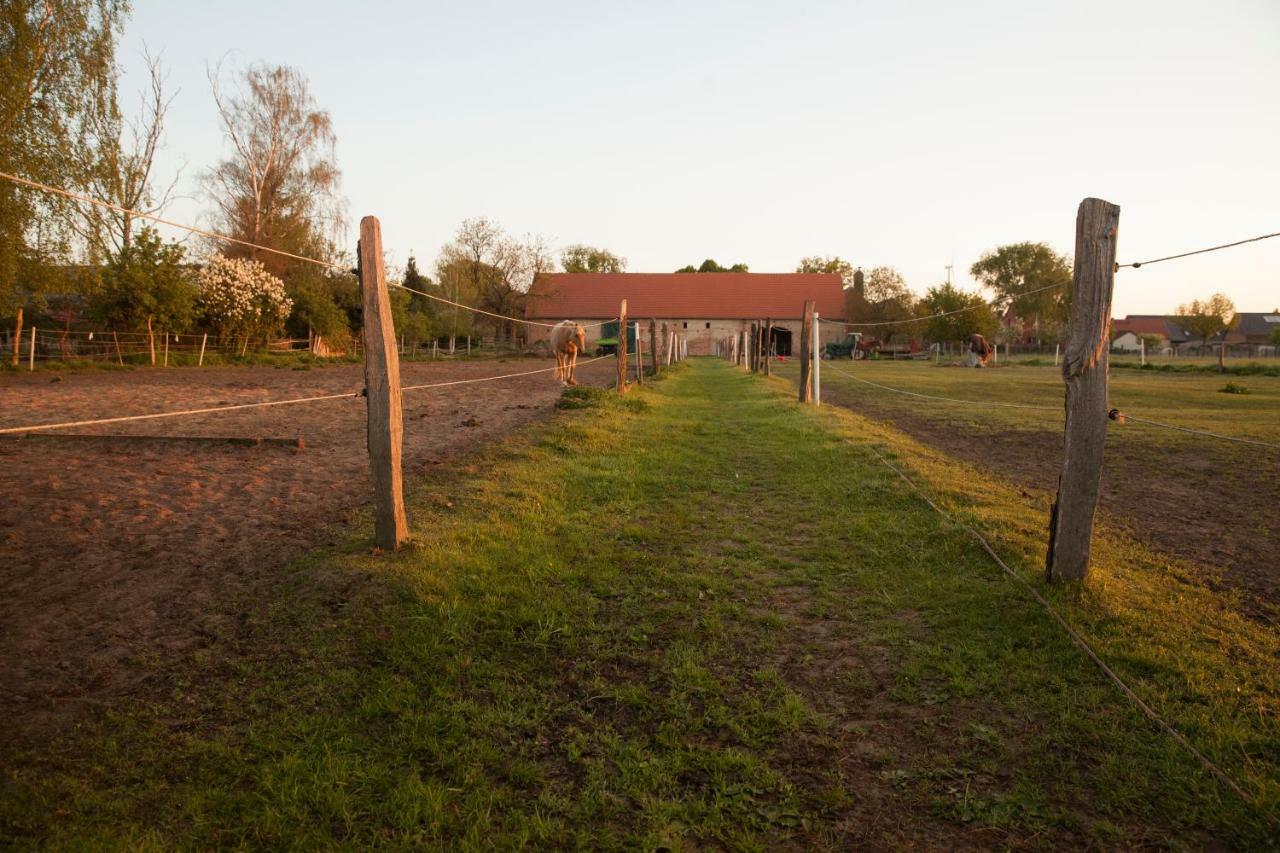 Lehnschulzenhof Viesen Vila Rogasen Exterior foto